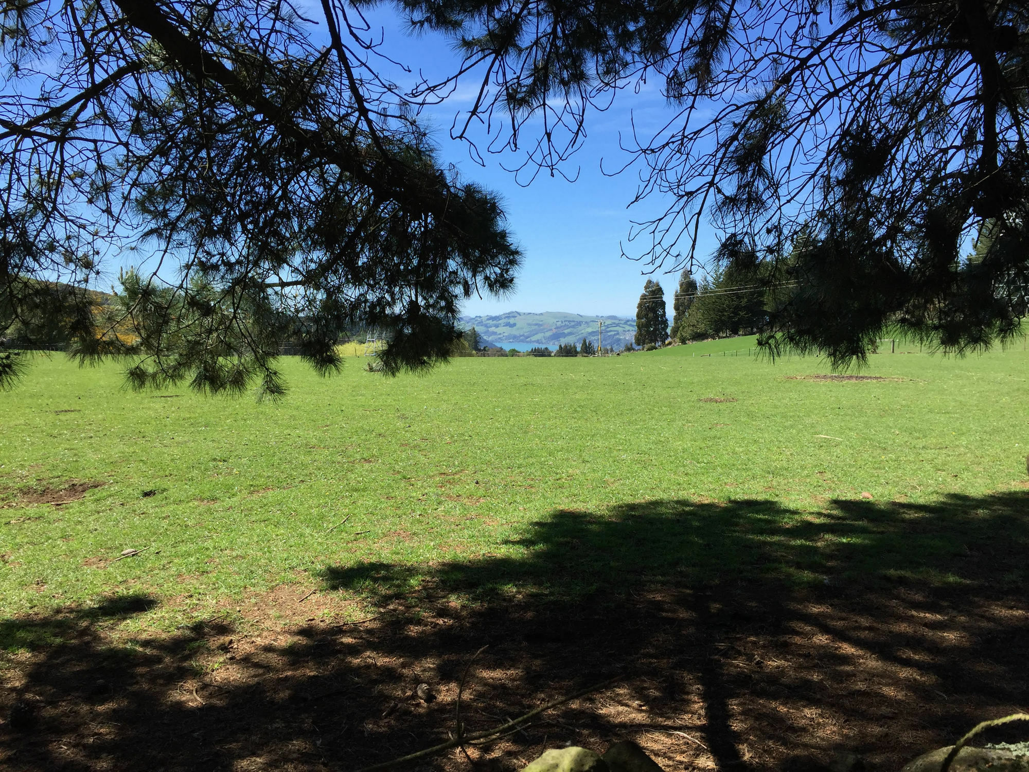 Height Of Dunedin Serviced Farm Stay Exterior photo