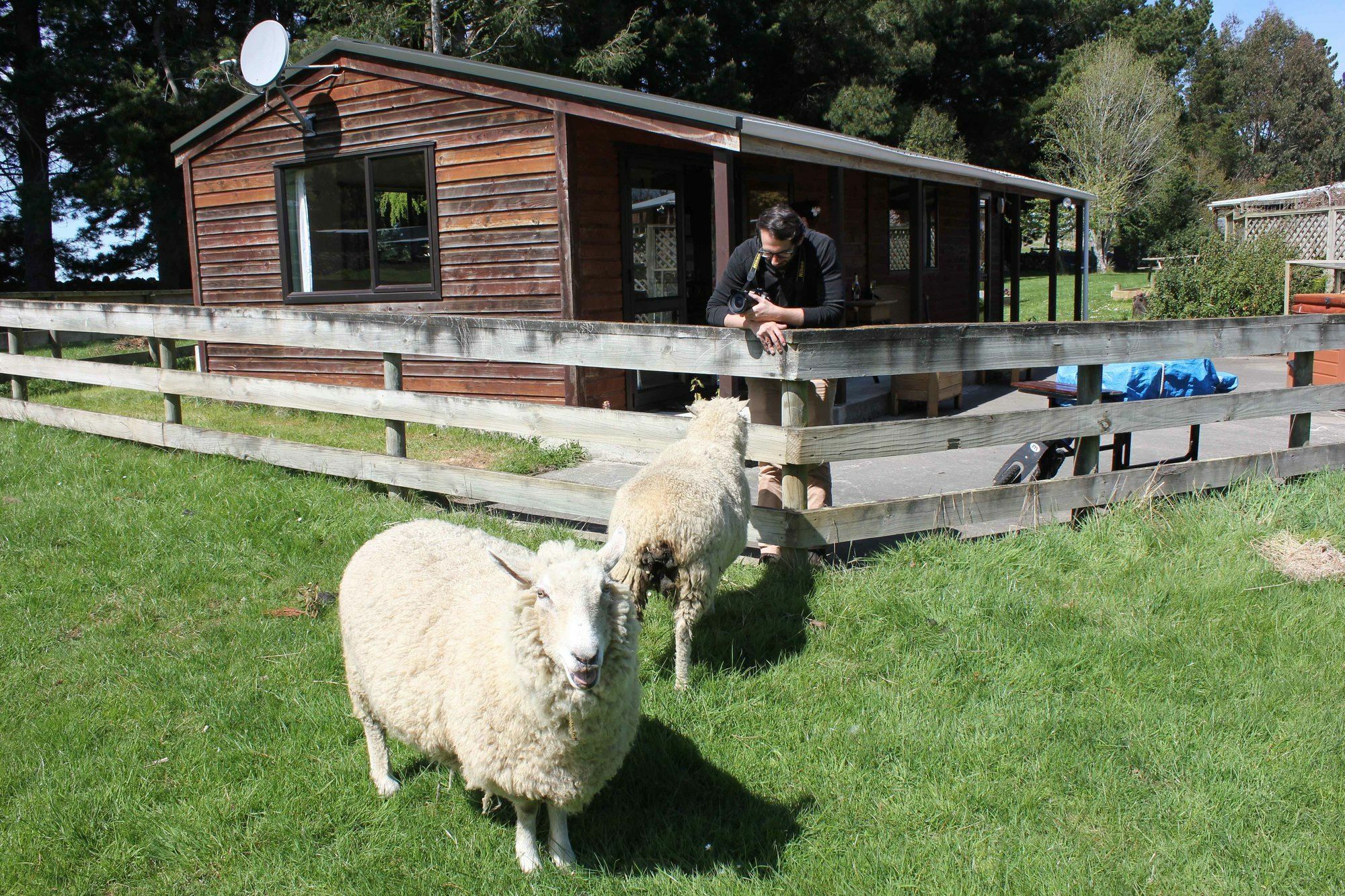 Height Of Dunedin Serviced Farm Stay Exterior photo
